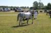 img_3060_small.jpg