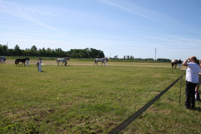 img_3071.jpg