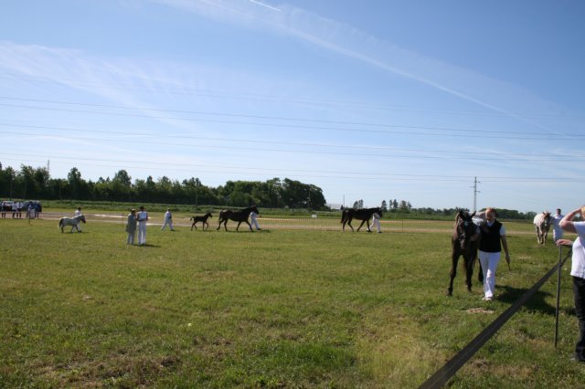 img_3074.jpg