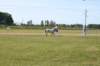 img_3081_small.jpg