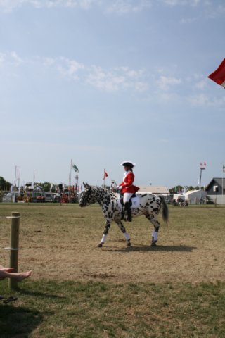 img_3120.jpg