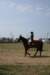 img_3121_small.jpg