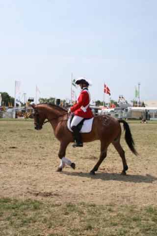 img_3122.jpg