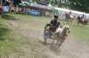 img_3129_small.jpg