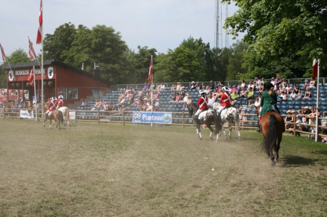 img_3135.jpg
